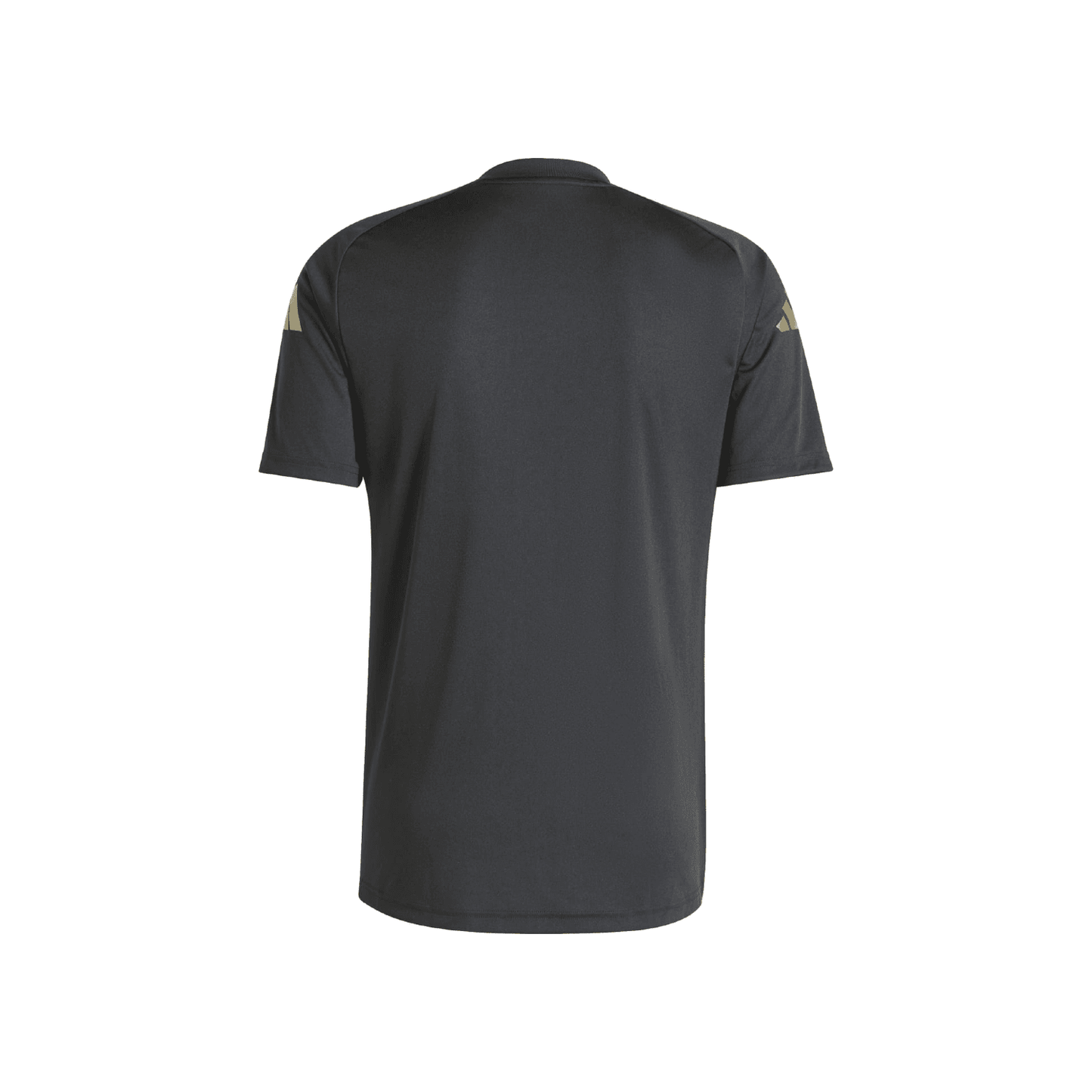 adidas Argentina 2024 Warm Up Jersey - Men's