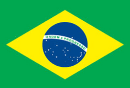  البرازيل