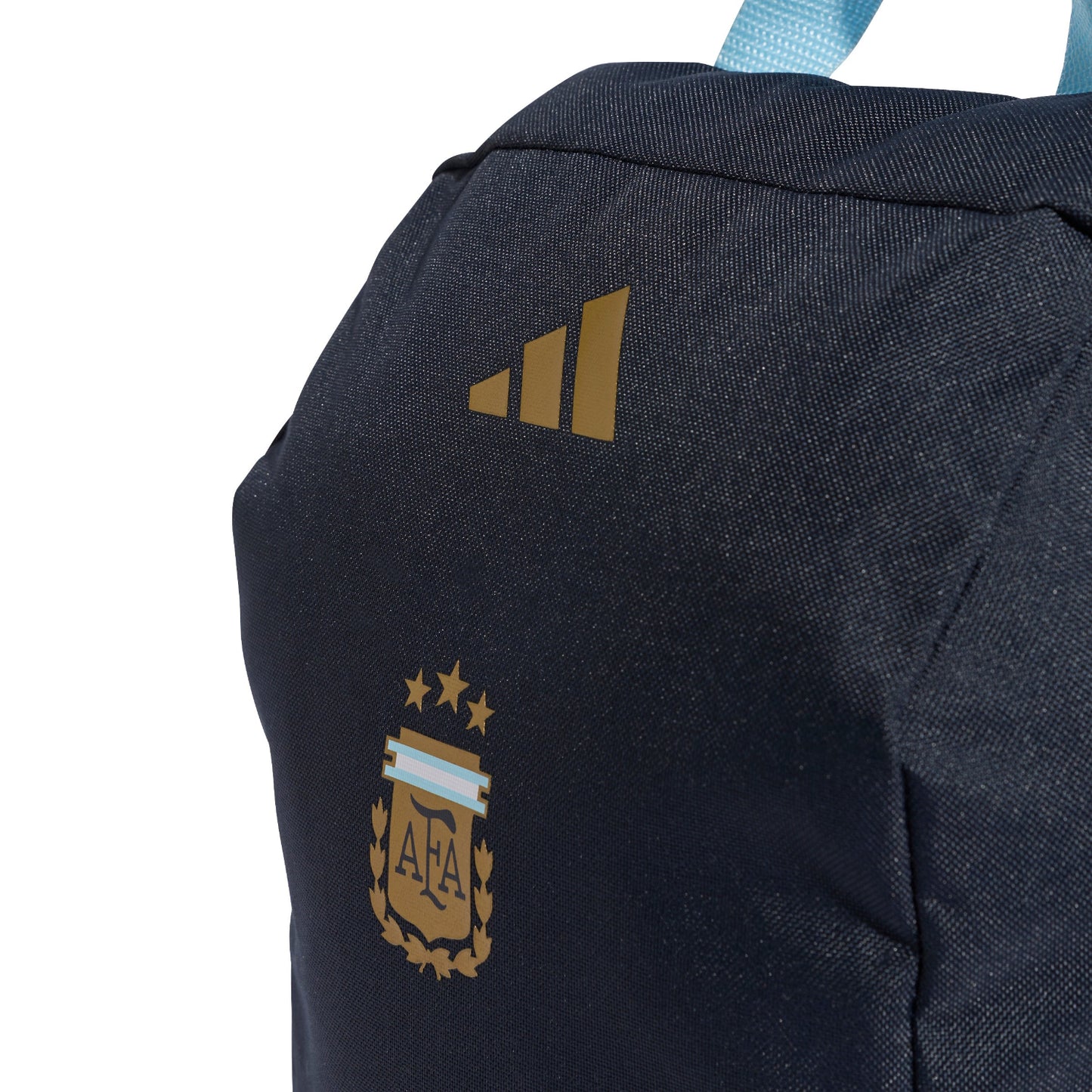 Argentina Shoebag
