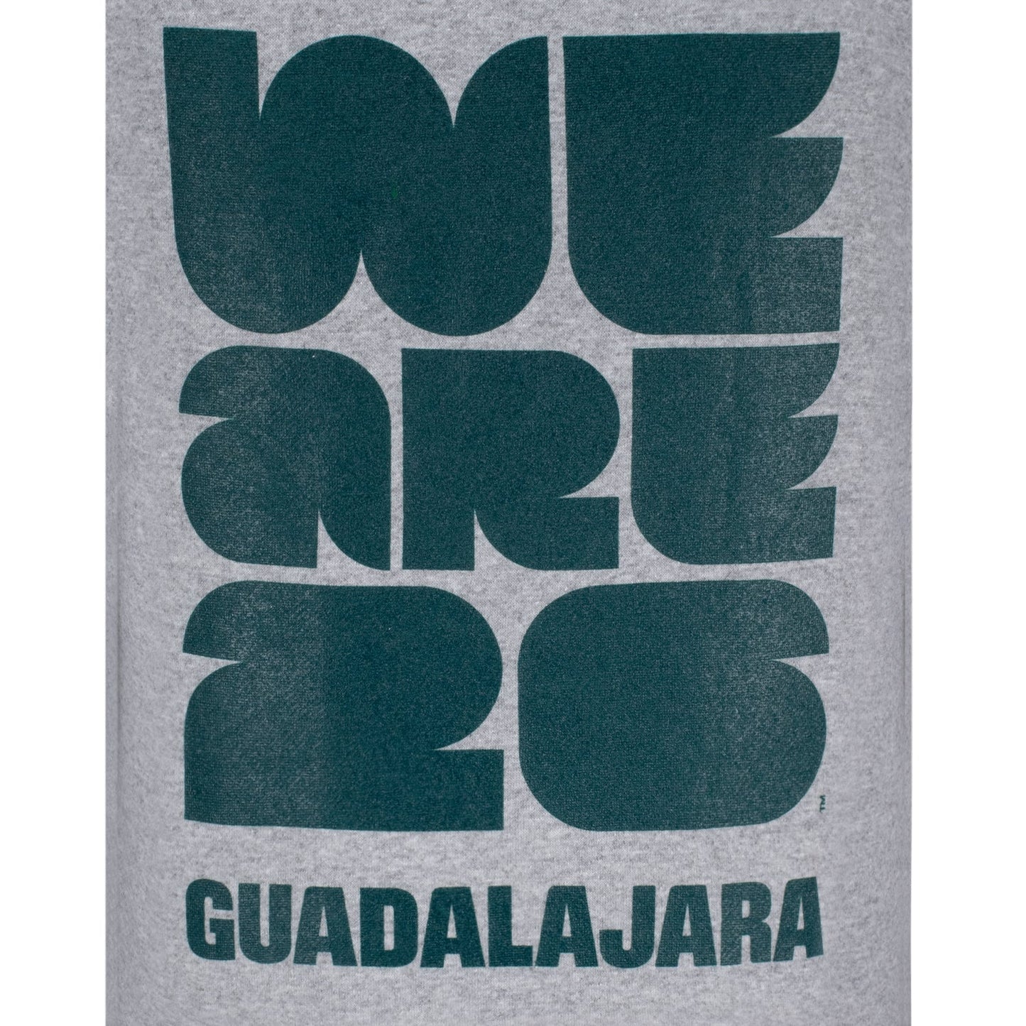 Guadalajara-Hoodie zur WM 2026 (grau) – Unisex