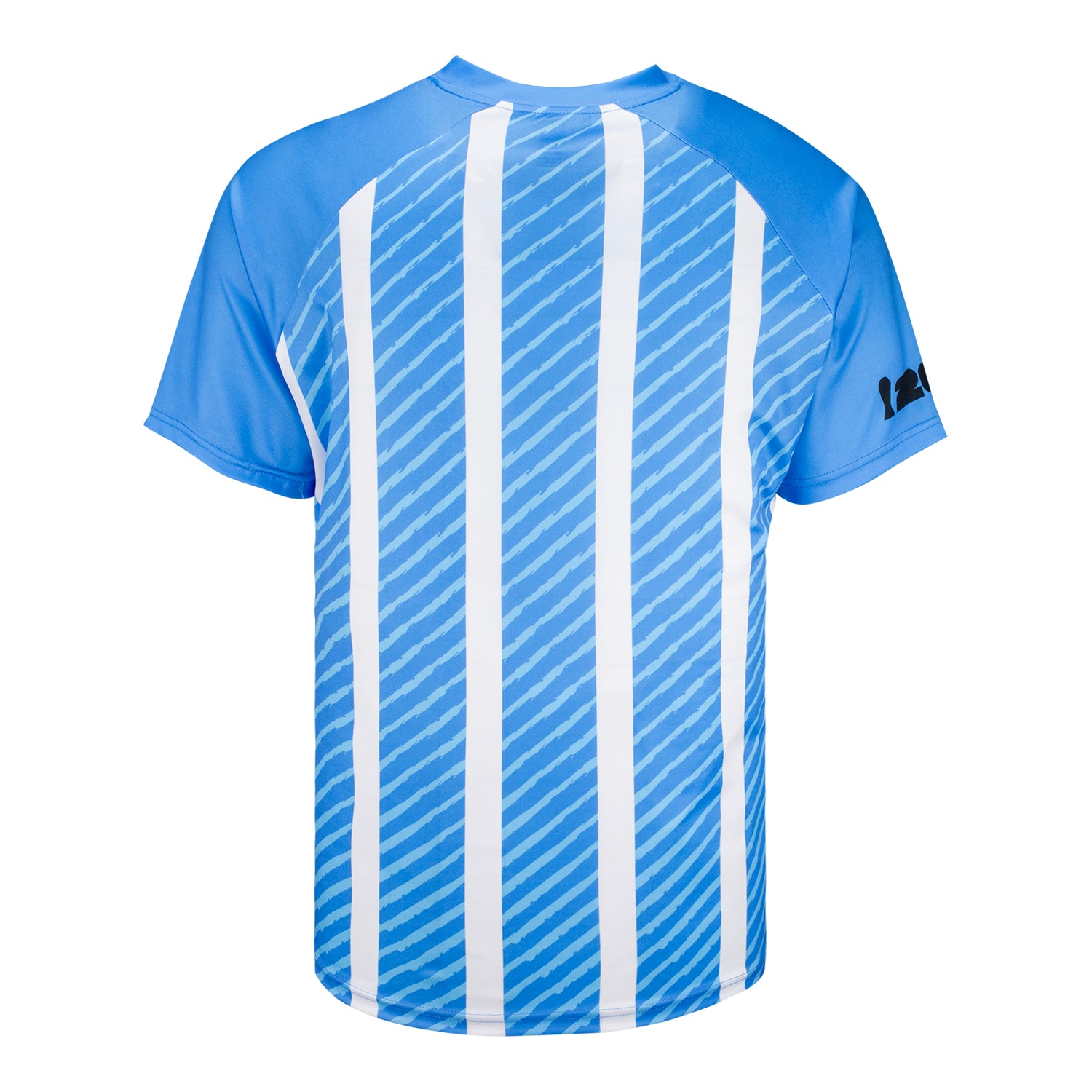 FIFA World Cup 2026™ Argentina Sublimated T-Shirt - Unisex – FIFA