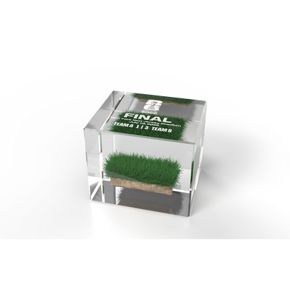 FIFA World Cup 2026™ Piece of the Pitch - Stadium Edition