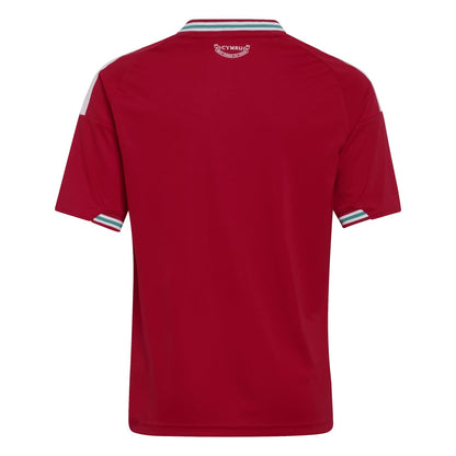 Camisa do País de Gales 2026 Mandante - Infantil