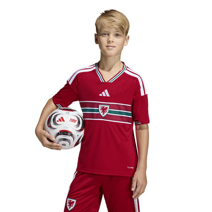 Camisa do País de Gales 2026 Mandante - Infantil