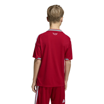 Camisa do País de Gales 2026 Mandante - Infantil