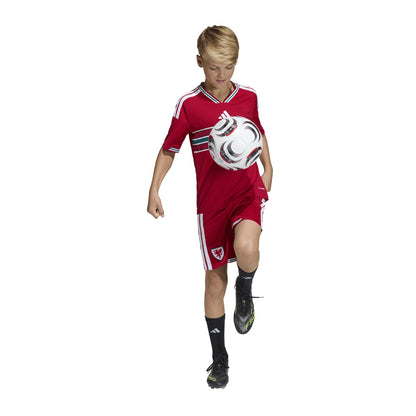 Camisa do País de Gales 2026 Mandante - Infantil