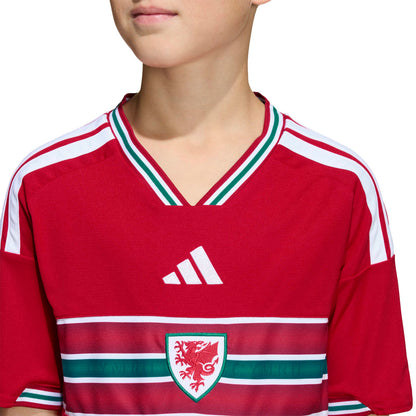 Camisa do País de Gales 2026 Mandante - Infantil