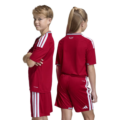 Camisa do País de Gales 2026 Mandante - Infantil