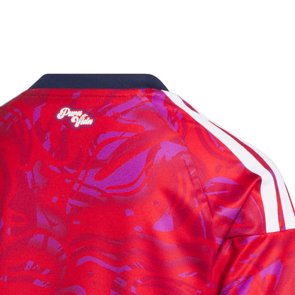 Costa Rica 2026 Home Jersey - Youth
