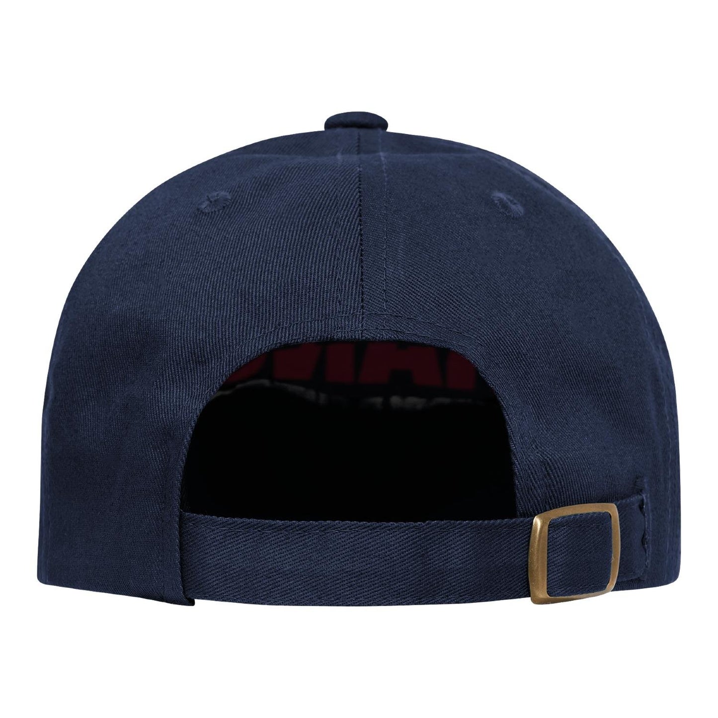 World Cup 2026 France Cap
