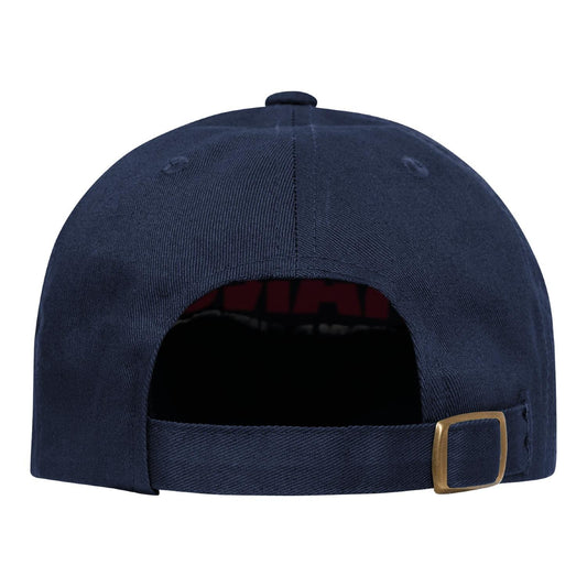 World Cup 2026 France Cap