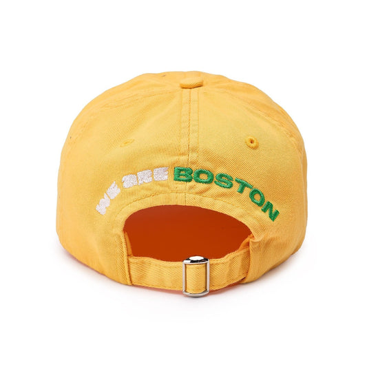 2026 World Cup Boston Cap - Unisex