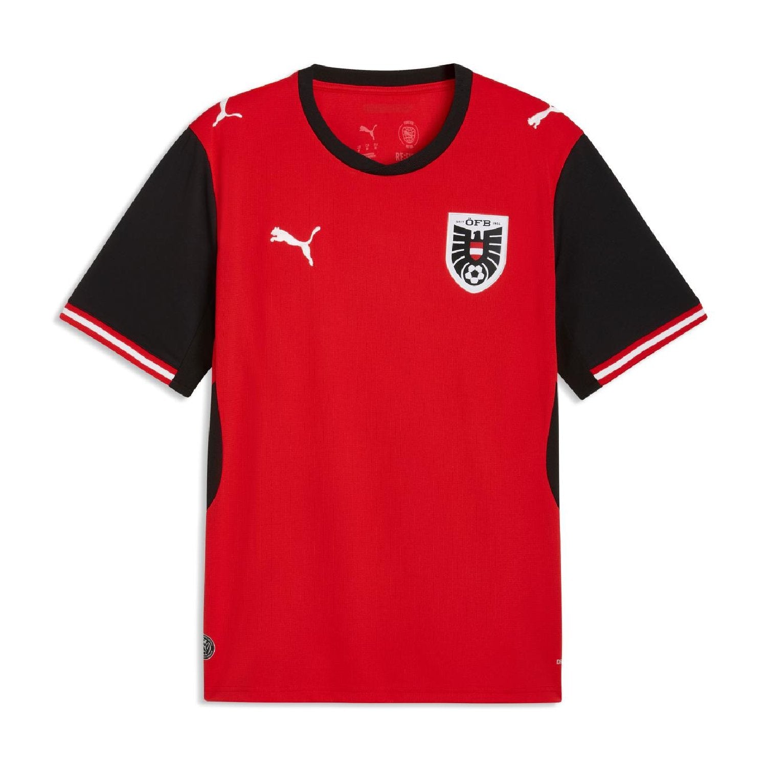 Austria Puma jersey