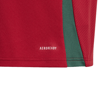 adidas Hungary 2024 Home Jersey - Youth