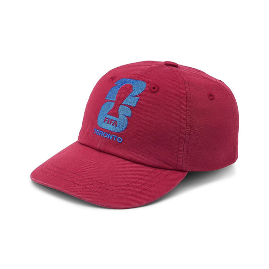 2026 World Cup Toronto Cap - Youth